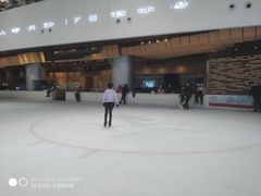 -TheRink大零溜冰场(IFS国金中心店)