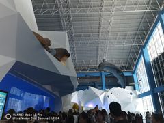 -泉城欧乐堡海洋极地世界