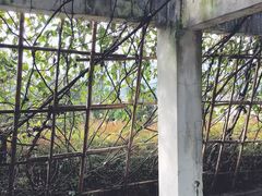 -四川农业大学(雅安校区)