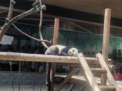 -西安秦岭野生动物园