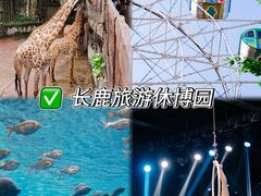 -长鹿旅游休博园