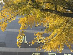 -成都凯宾斯基饭店