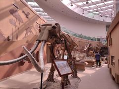 -陕西自然博物馆