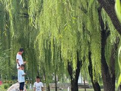 -太阳宫公园