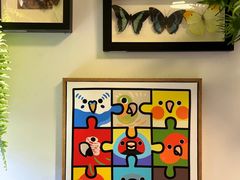 -吉丁鸟咖·异宠·寄养