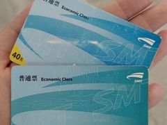 -龙阳路磁悬浮列车总站-停车场