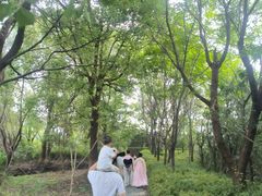-苏州太湖国家湿地公园
