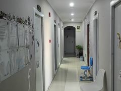 -缪斯琴行英皇小提琴.钢琴.吉他(张江店)