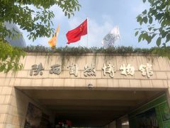 -陕西自然博物馆