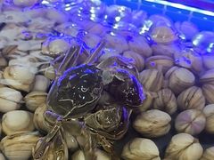 -四囍码头海鲜烧烤自助火锅(外滩南京东路悦荟广场店)