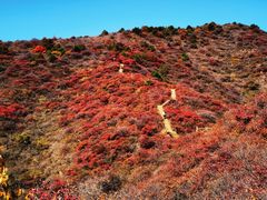 -水峪民俗村