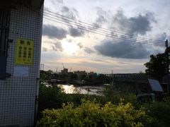 -海鸥岛