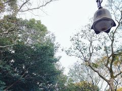 -普陀山风景区-佛顶山