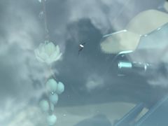 -鲨鱼皮汽车凹陷玻璃修复(静安店)