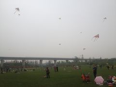 -秀丽东方