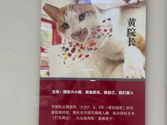 -御宝贝24h宠物医院·转诊中心·CT核磁血透中心(厦门总院)
