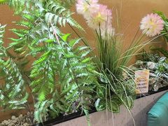-九孔·筒骨莲藕汤锅(大明宫万达店)