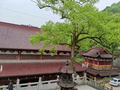 -云碧峰国家森林公园