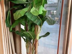 -筋骨堂热敷推拿按摩(枫林绿洲店)