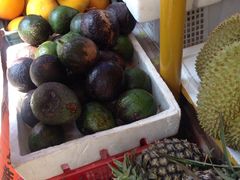 -瑞丽独树成林风景区