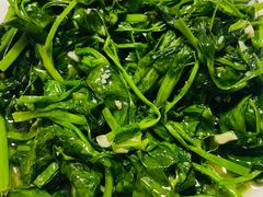 -煲来饱去冷水鱼