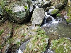 -藏龙百瀑风景区