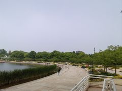 -新江湾城公园
