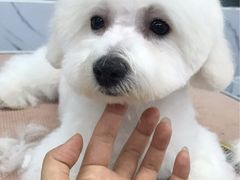 -瑞派宠物医院·24小时骨科·心脏·核磁(哈尔滨南岗店)