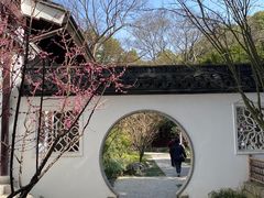 -上海醉白池公园