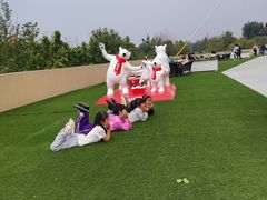 -秦皇岛乐岛海洋王国