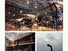 -世界恐龙谷景区