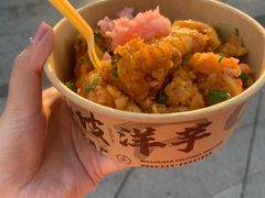 -周小亮丁家坡洋芋(全国总店)