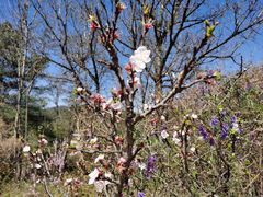 -名花谷生态庄园