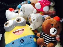 -PAWTOY爪e玩偶店(天兴罗斯福店)