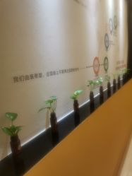 -紫琪尔胸部养护中心