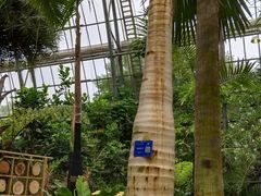 -南山植物园