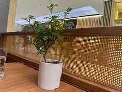 -CURRY YA 熟成咖哩專門店(深圳湾万象城店)