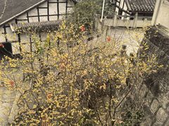 -燊海井