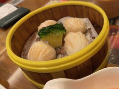 -香港新曜记茶餐厅(星耀城店)