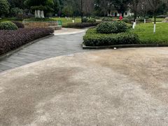-龙头寺公园