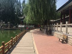 -金城公园