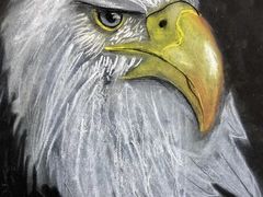 -甲乙果 美术书法(通州校区)