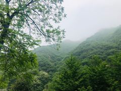 -九龙湾景区