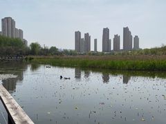 -前关湿地公园