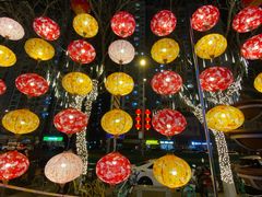 -邓丽君音乐主题餐厅