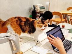 -玫瑰咖啡(中山六路店)