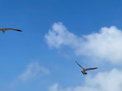 -海驴岛(荣成市)