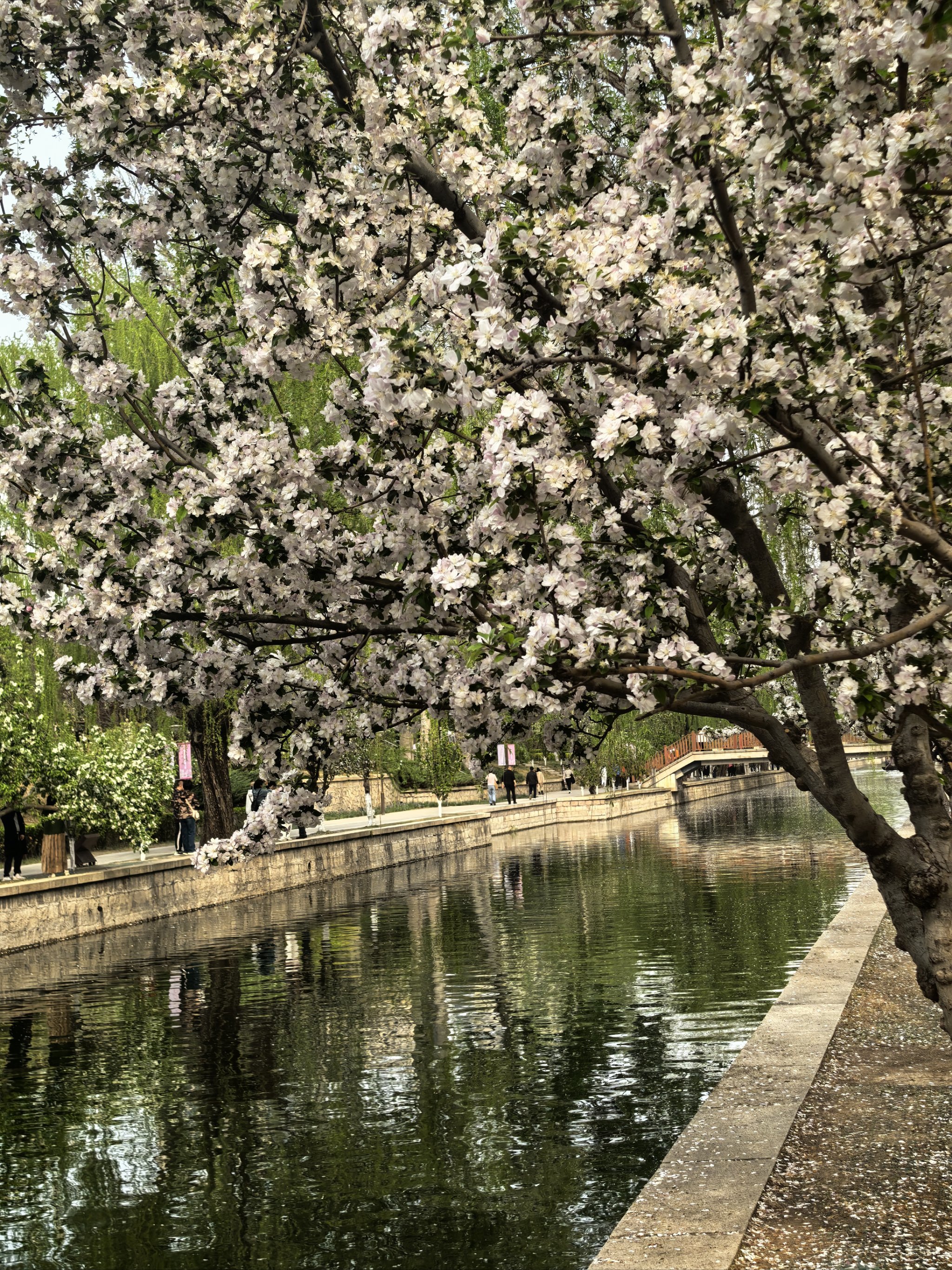北土城海棠花溪