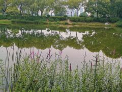 -金银湖国家城市湿地公园