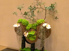 -北京四季酒店